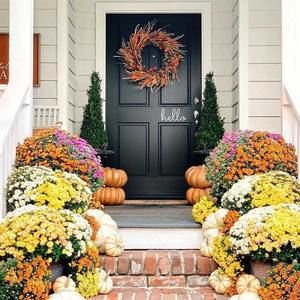 Meet your Posher, Gail